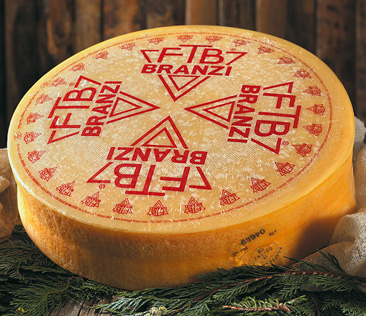 Formaggio Branzi pasta morbida, semicotta e pressata
