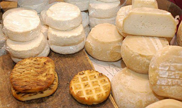 Prodotti Tipici - Formaggi Caprini - Formagella di Capra