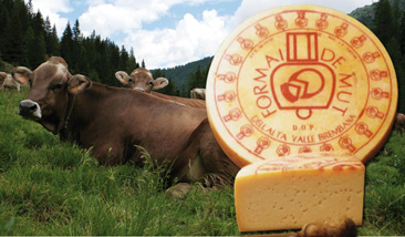 Formai de Mut - Prodotti Tipici Valle Brembana Bergamo