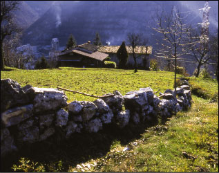 La Strada Taverna