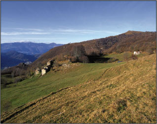 La Strada Taverna
