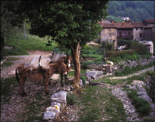 La Strada Taverna